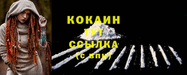 индика Заволжье