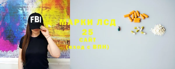 индика Заволжье