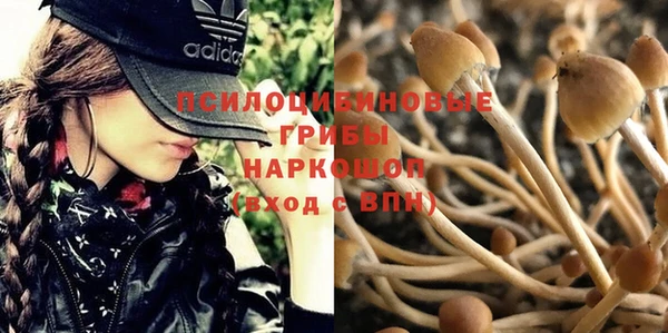 индика Заволжье