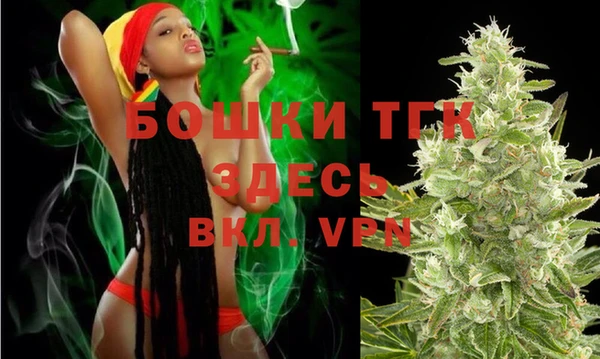 индика Заволжье