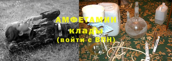 индика Заволжье