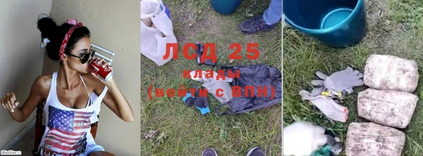 индика Заволжье