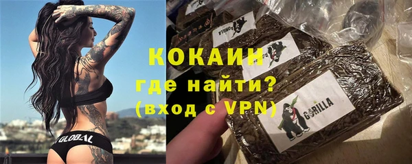 дурь Заводоуковск