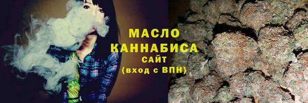 индика Заволжье