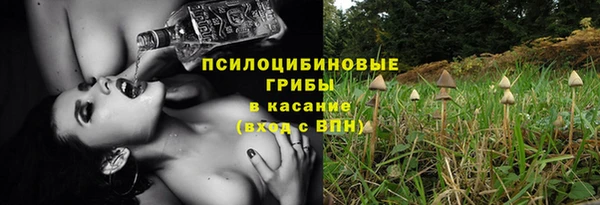 индика Заволжье