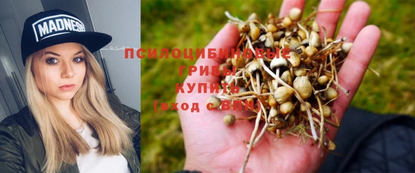 индика Заволжье