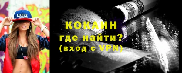 индика Заволжье