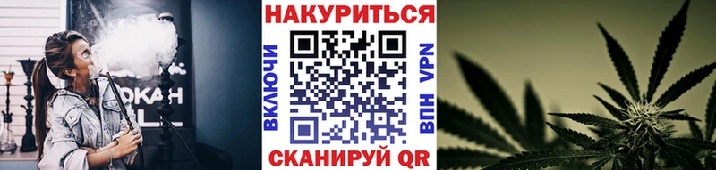Купить закладки  Котово  Канабис гибрид 